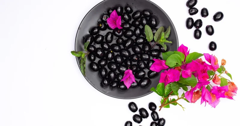 Peut-on faire une tapenade d'olives noires sans anchois ?