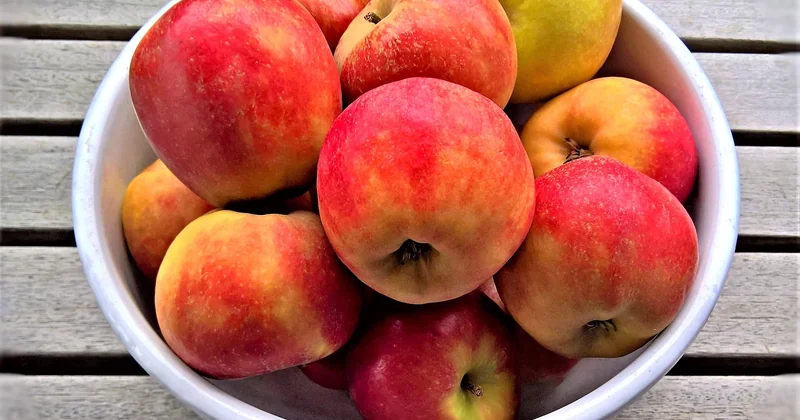 Choisir ses pommes selon l'acidité et la tenue